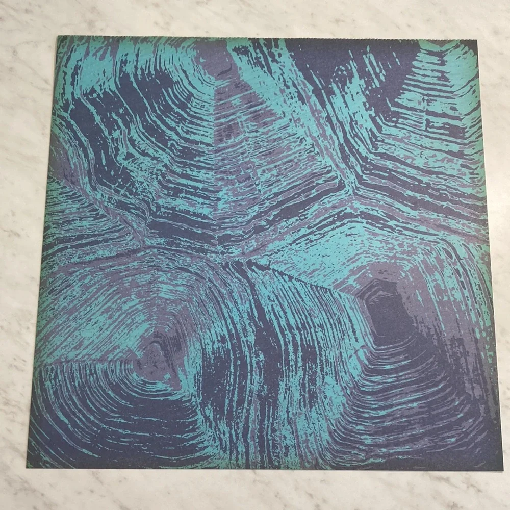 Teal Blue Animal Print 12x12 Scrapbook Paper 15 Sheets